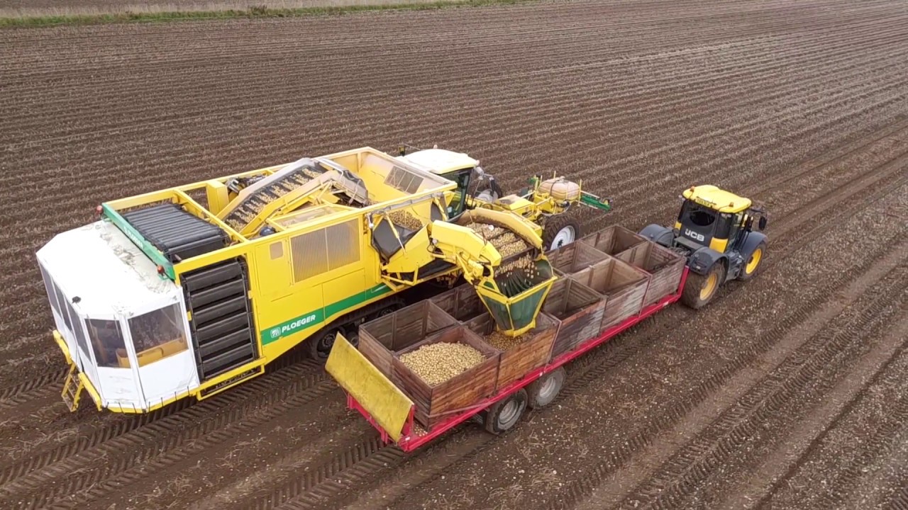Root Crops - Ploeger AR 4BX wide body - Potato harvest