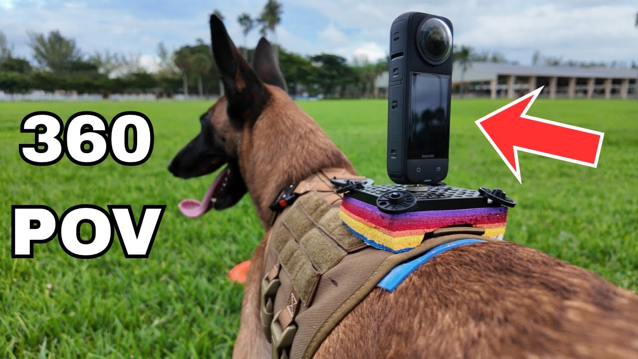 How to Mount a 360 Camera on Your Dog - Insane POV Shots