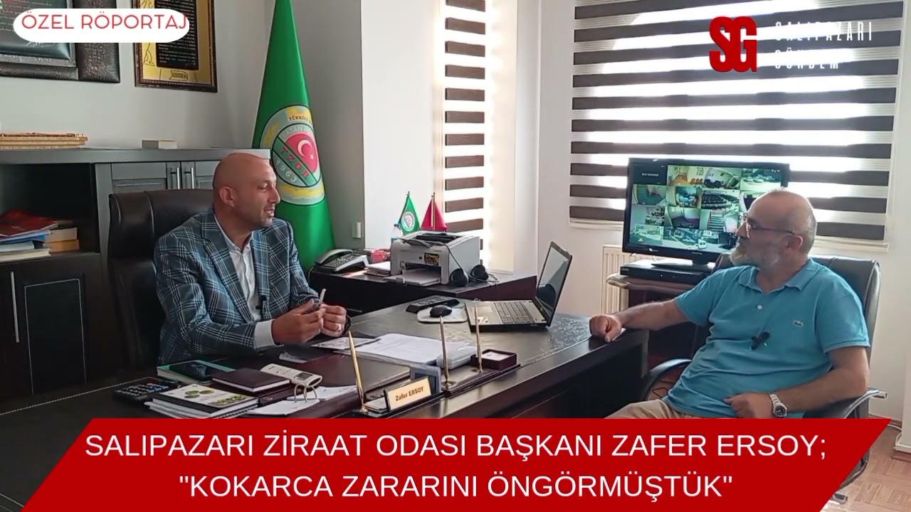 Salıpazarı ziraat odası başkanı Zafer Ersoy la fındığa dair herşeyi konuştuk.