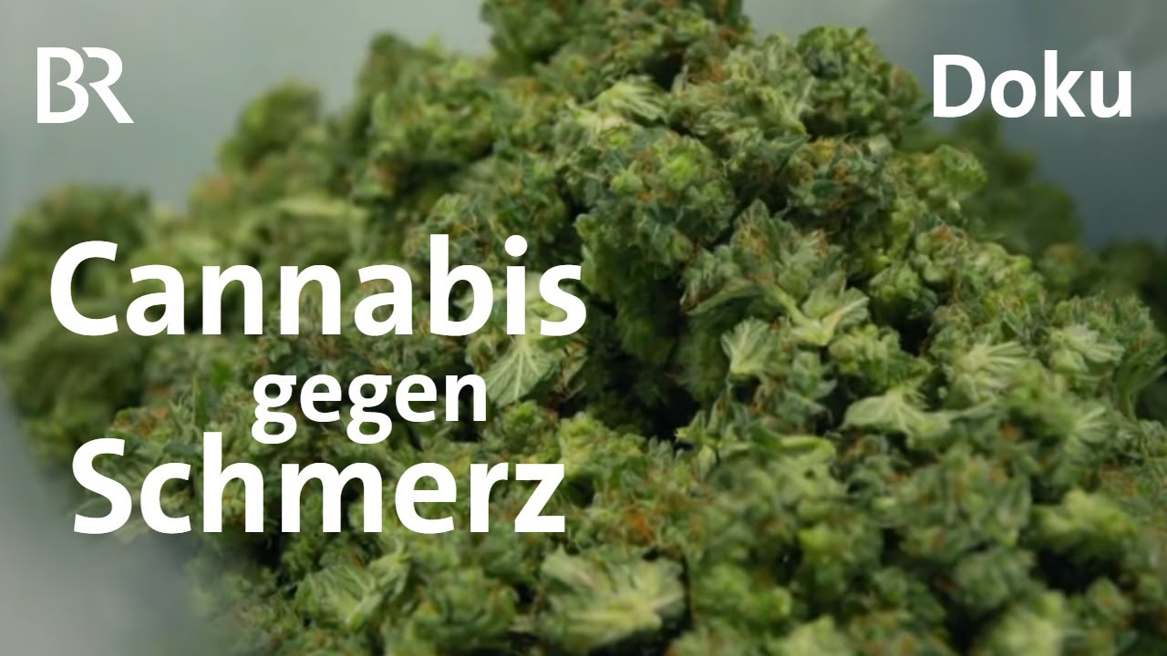 Gras auf Rezept: Medizinisches Cannabis im Kreuzfeuer | Doku | BR Story