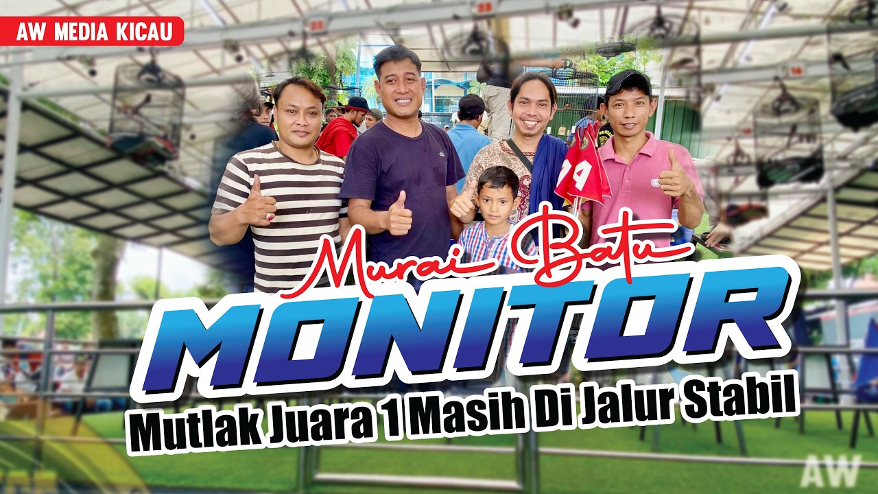 MURAI BATU MONITOR MUTLAK JUARA 1 DI KELAS BURSA MASIH DI JALUR STABIL JAWARA NUSANTARA MASTERPIECE