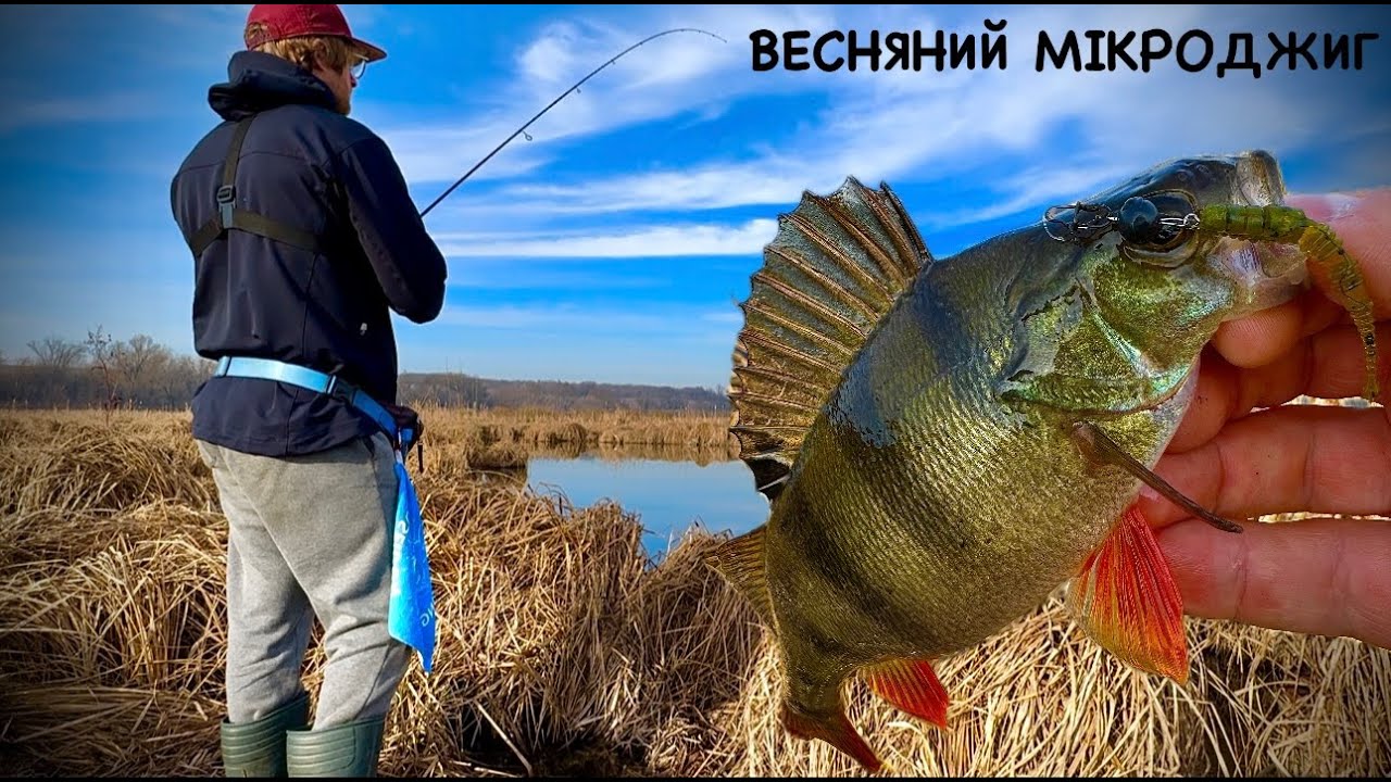 ВЕСНА 2025|ОКУНЬ НА МІКРОДЖИГ|Favorite Totem TTM1-762UL-T 2.30m 1.5-7g