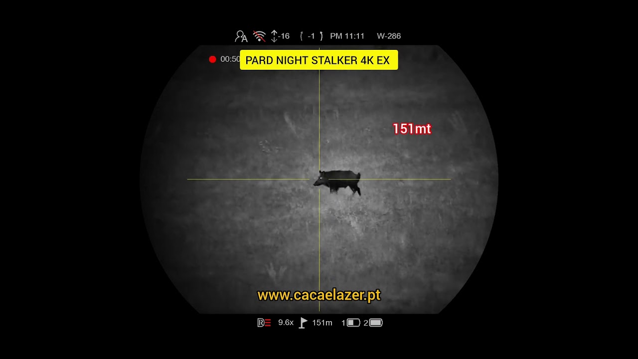 PARD NIGHT STALKER 4K EX