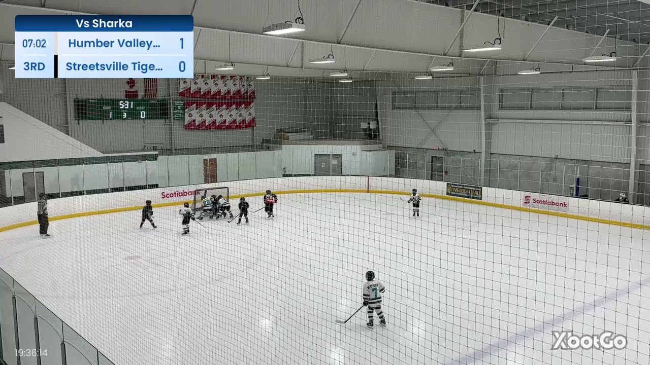 3rd Period vs Humber Valley Sharks on Jan. 12th