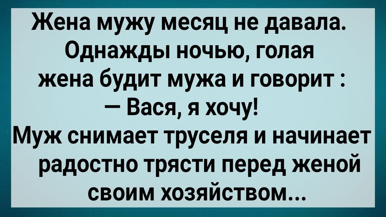Как Муж Перед Женой Хозяйством Тряс! Сборник Свежих Анекдотов! Юмор!