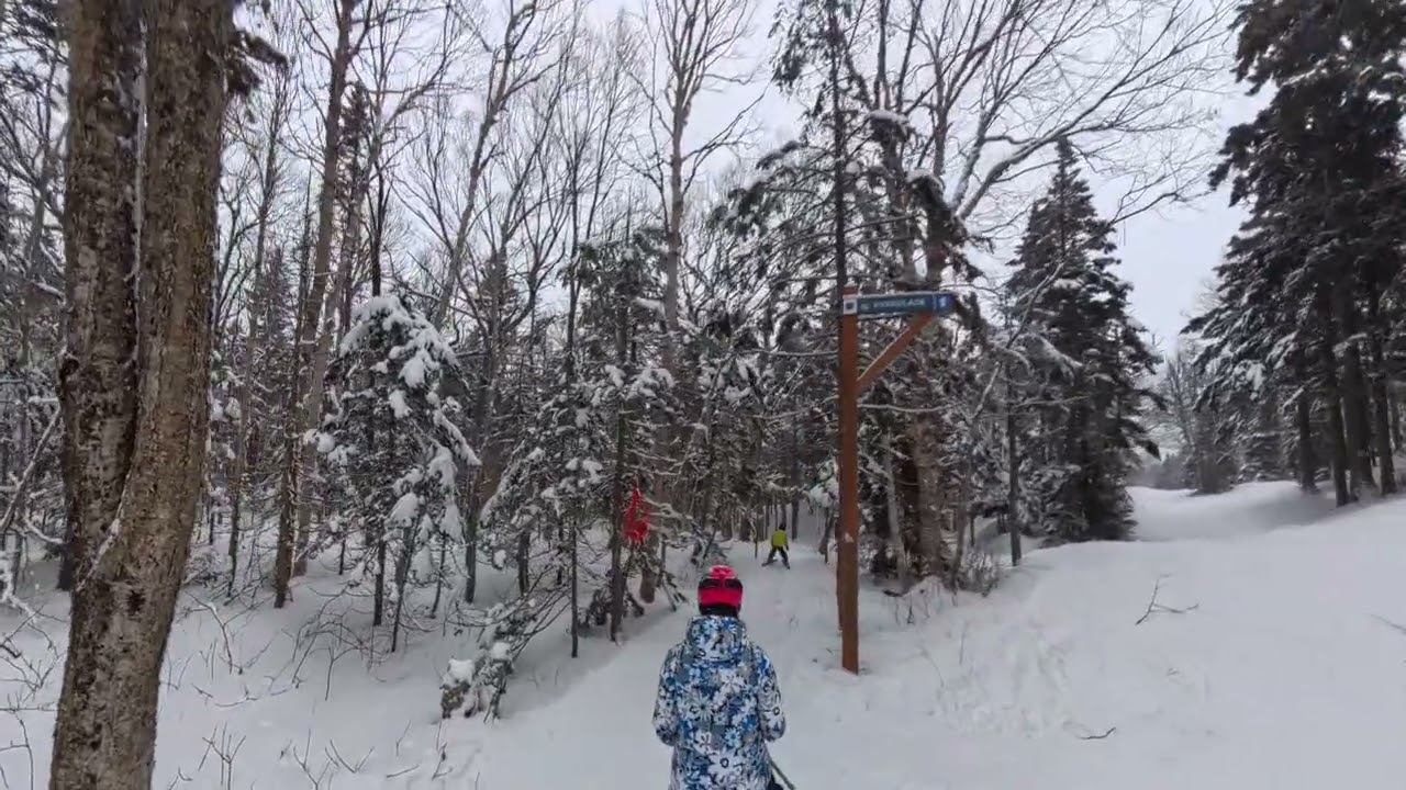 Okemo Glades 2026