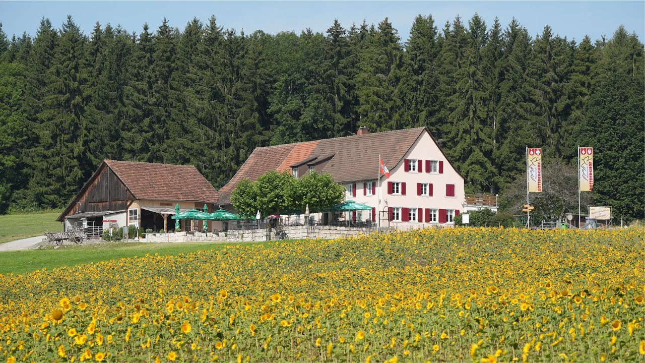 Schweizer IHC Treffen auf dem Rossberghof Wilchingen