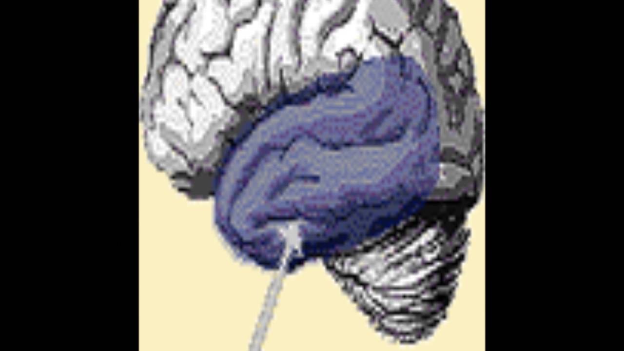 TRUE SCIENCE re: Human MICROWAVE HEARING EFFECT - Electromagnetics and human biology