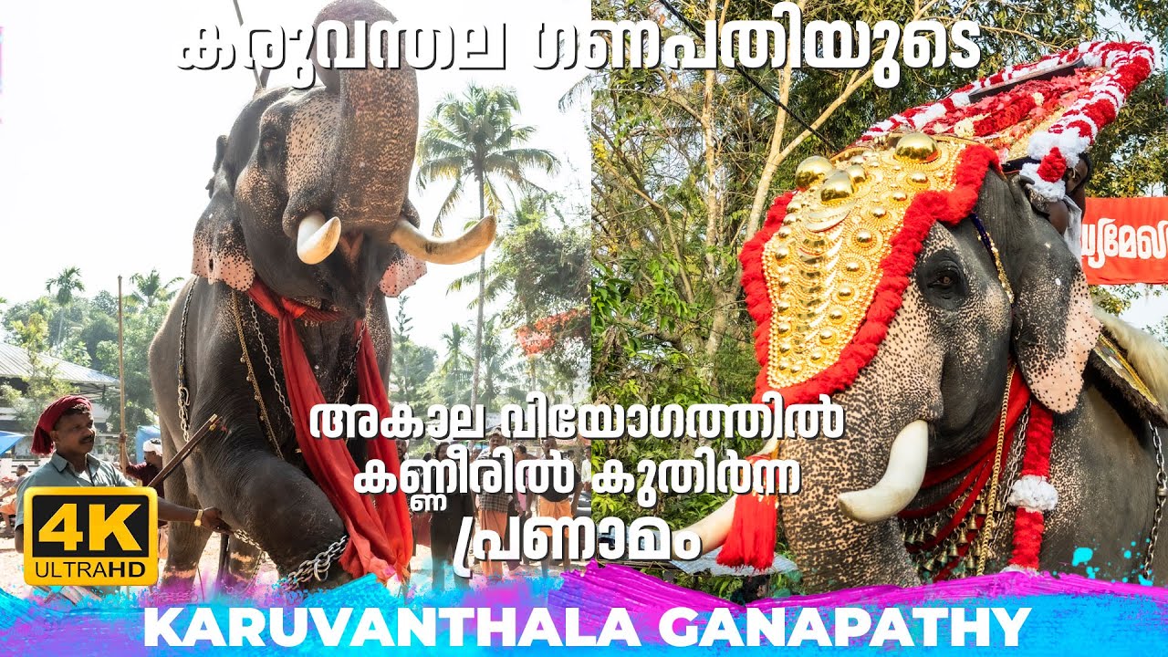 കരുവന്തല ഗണപതിയുടെ അകാല വിയോഗത്തിൽ കണ്ണീരിൽ കുതിർന്ന പ്രണാമം🙏🥹💔 Karuvanthala Ganapathy