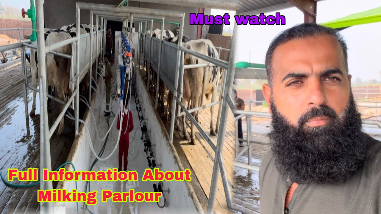 Milking Parlur K Baray  Main Full Information  Must watch This Video 
