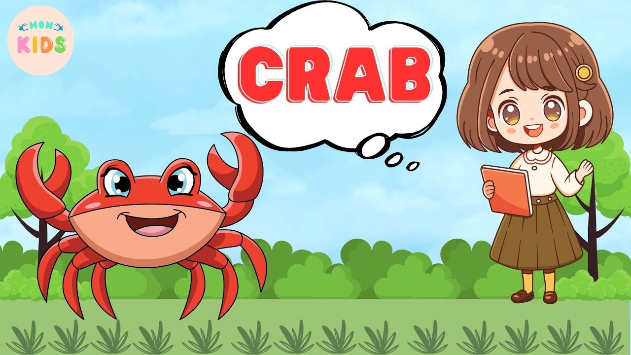 Crab Facts For Kids 🦀 Learn All About Crabs | MON Kids
