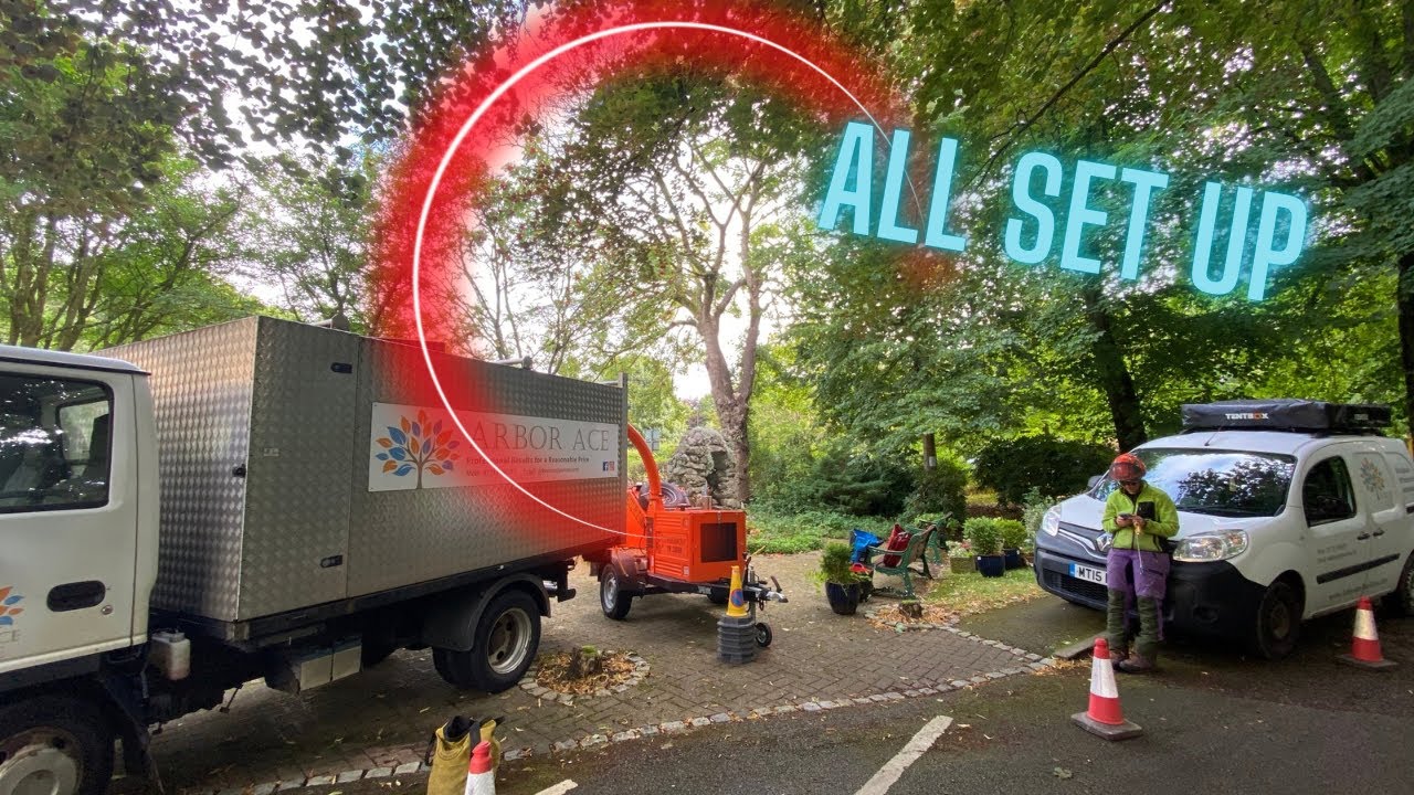 Tree Survey Work