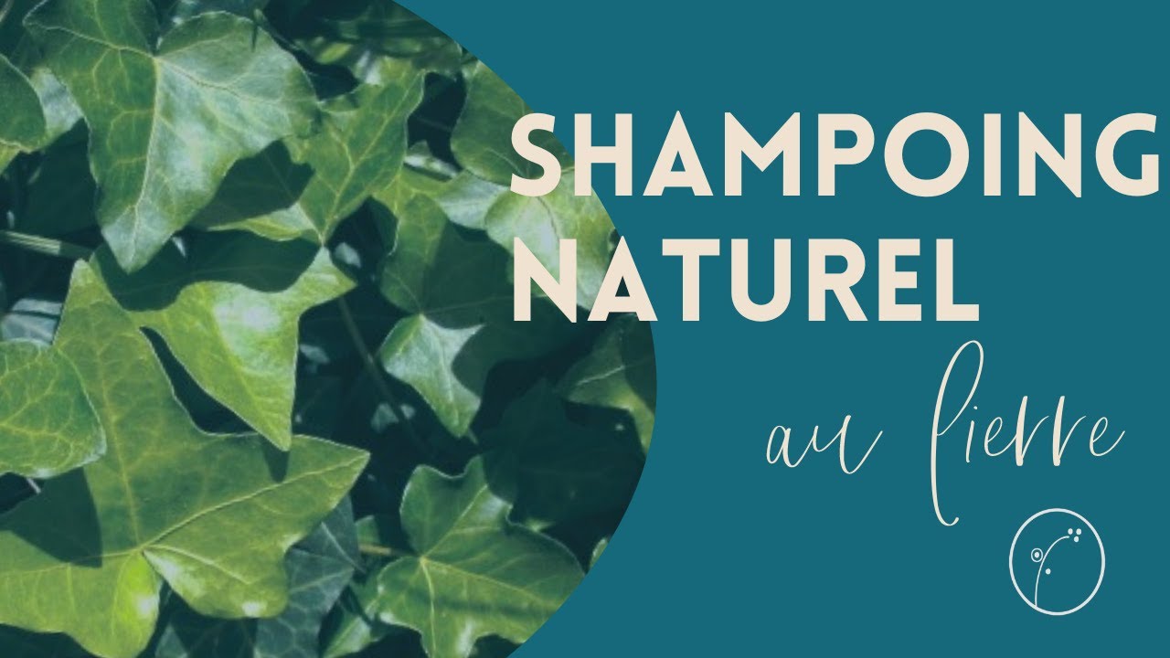 Comment faire un SHAMPOING NATUREL au LIERRE ?