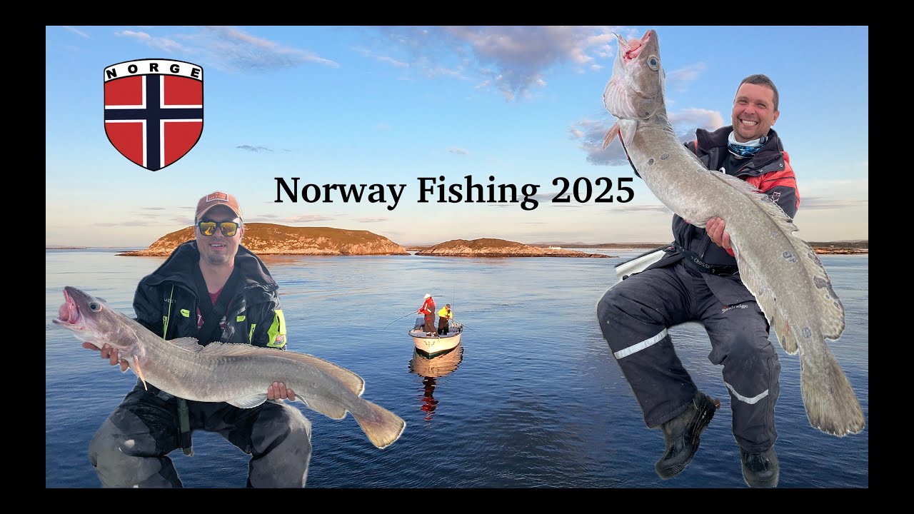 Norway fishing - Hitra 2025 / Rybolov Norsko 2025