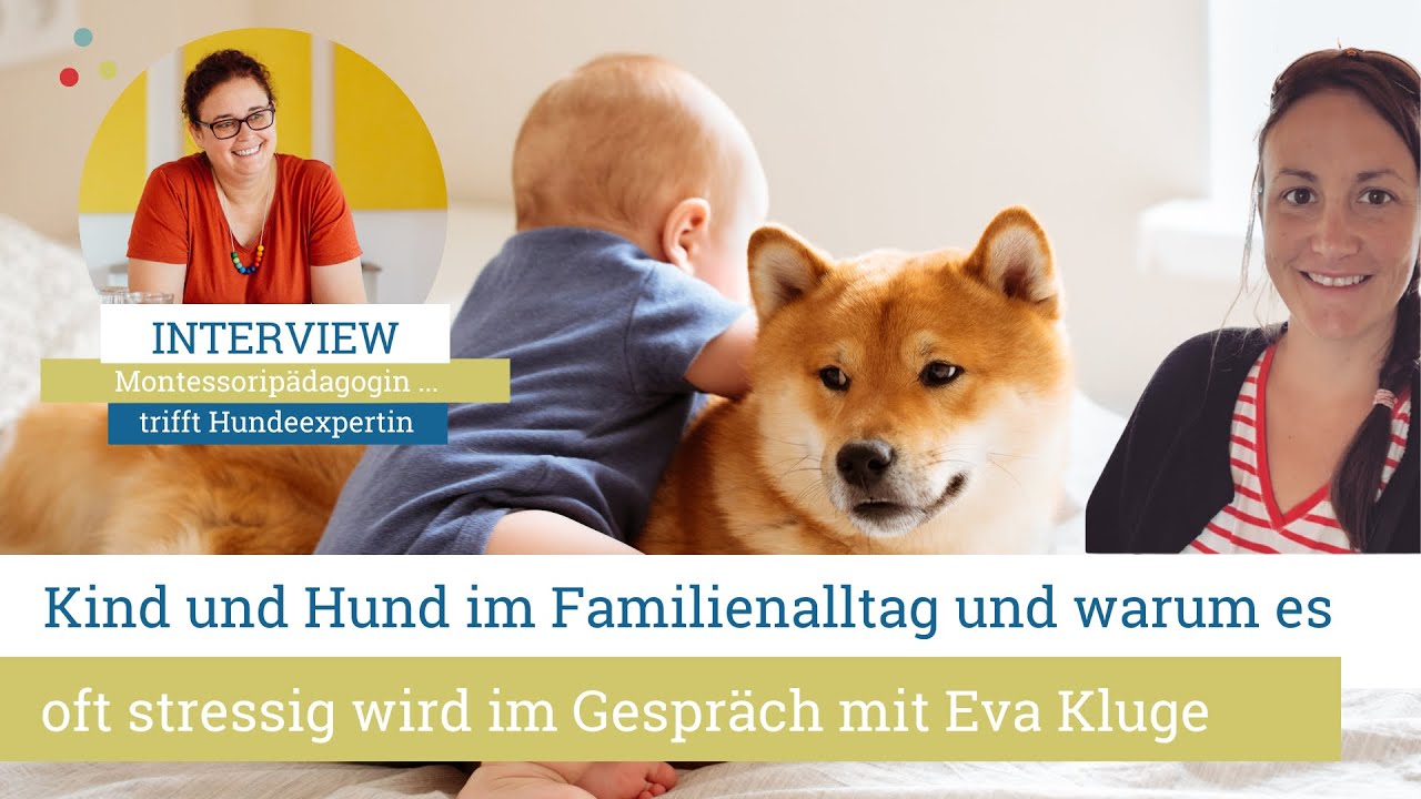 Kind & Hund im Familienalltag – warum es oft stressig wird (und wie es leichter geht)