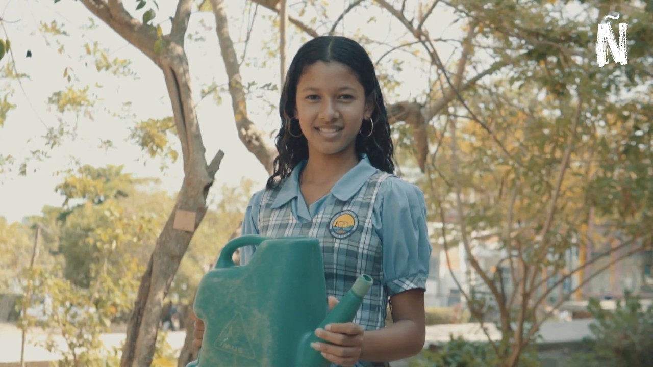 Huerta Escolar | Enseña por Colombia