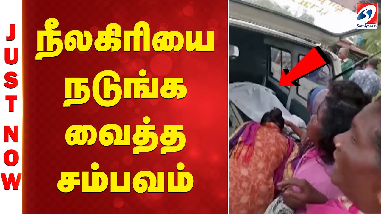 JUST NOW | Mudumalai Tiger Attack | Nilgiris Tiger Incident | நீலகிரியை நடுங்க வைத்த சம்பவம்