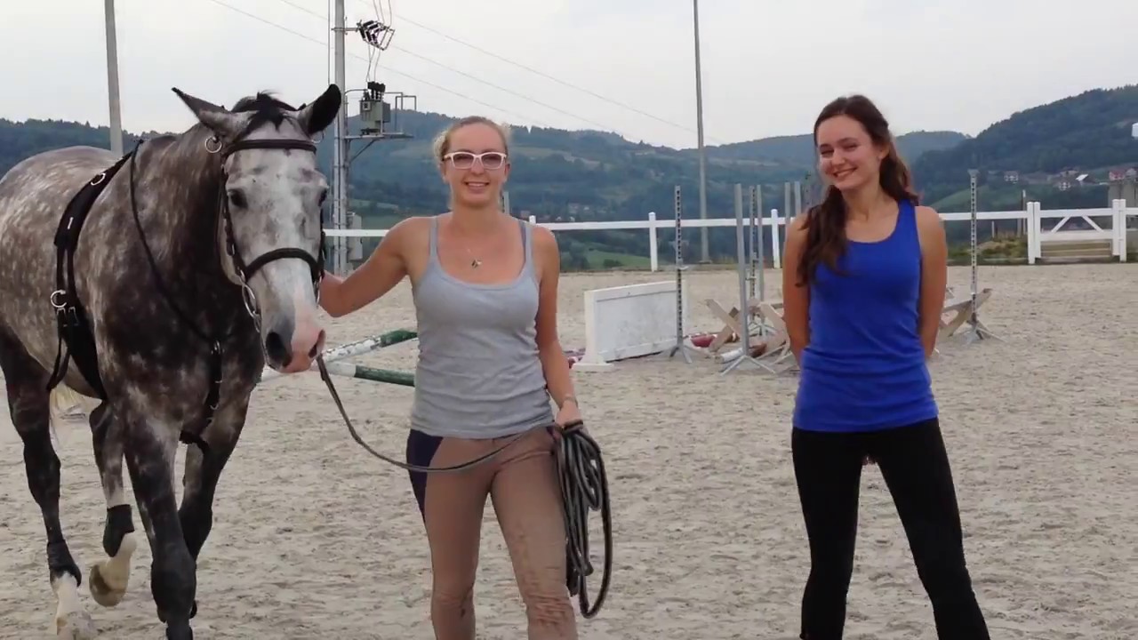 Kurs instruktora jazdy konnej w osadzie konnej Assanya