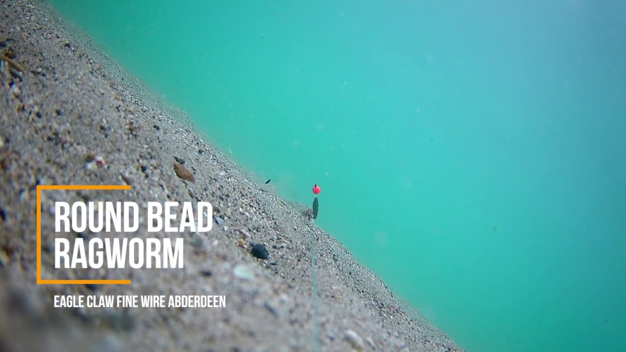 Single round bead with ragworm