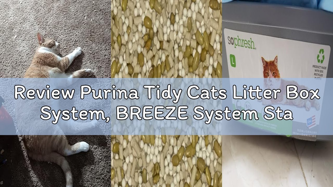 Review Purina Tidy Cats Litter Box System, BREEZE System Starter Kit Litter Box, Litter Pellets & Pa