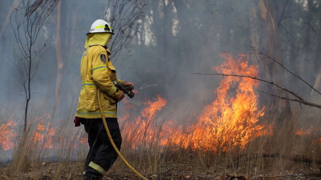 NSW RFS volunteer numbers scrutinised over fears they are ‘inflated’