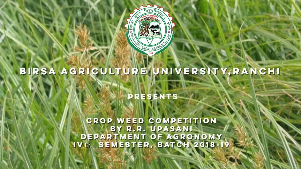 CROP WEED COMPETITION | By Dr. R.R. Upasani