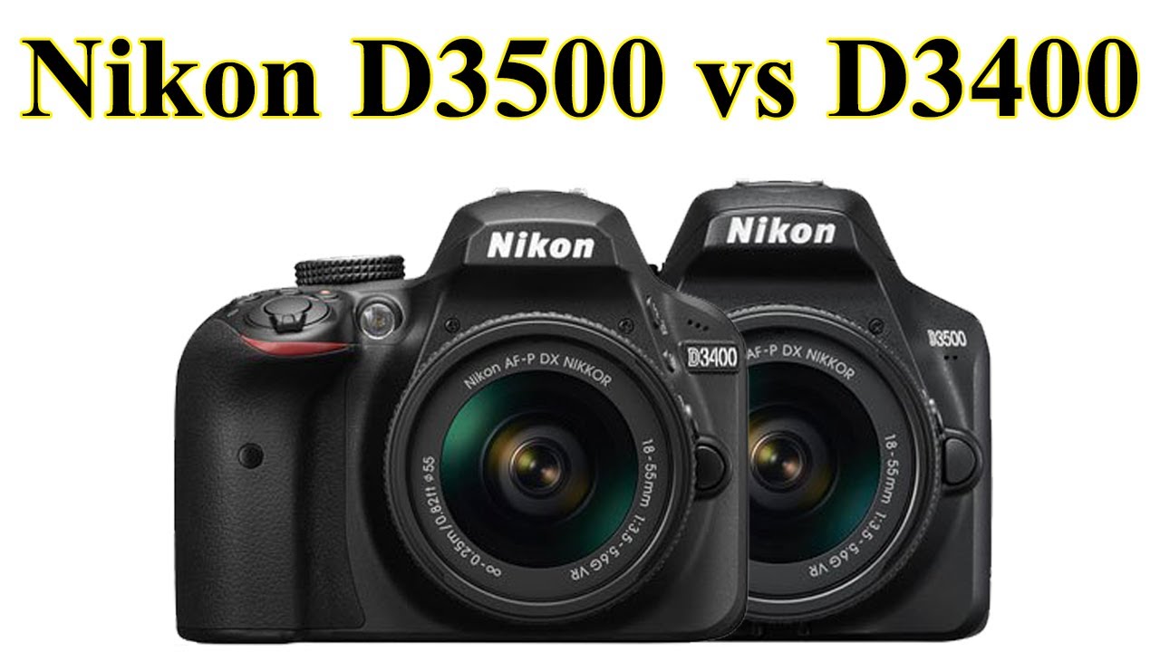 Nikon D3500 vs D3400 Review