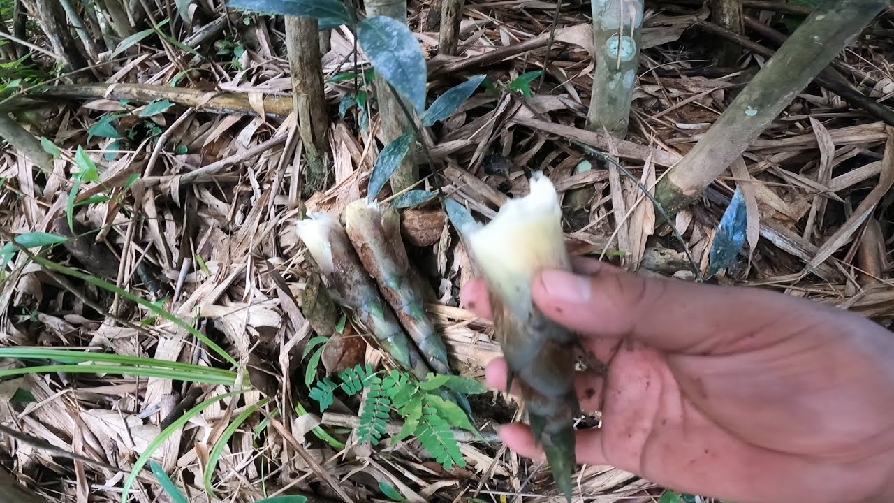 ទៅកាច់ទំពាំងជ្រលក់កន្ទុយហេសនៅពង្រួល - Chill Chill Overnight Camp & Cook - Ep 122