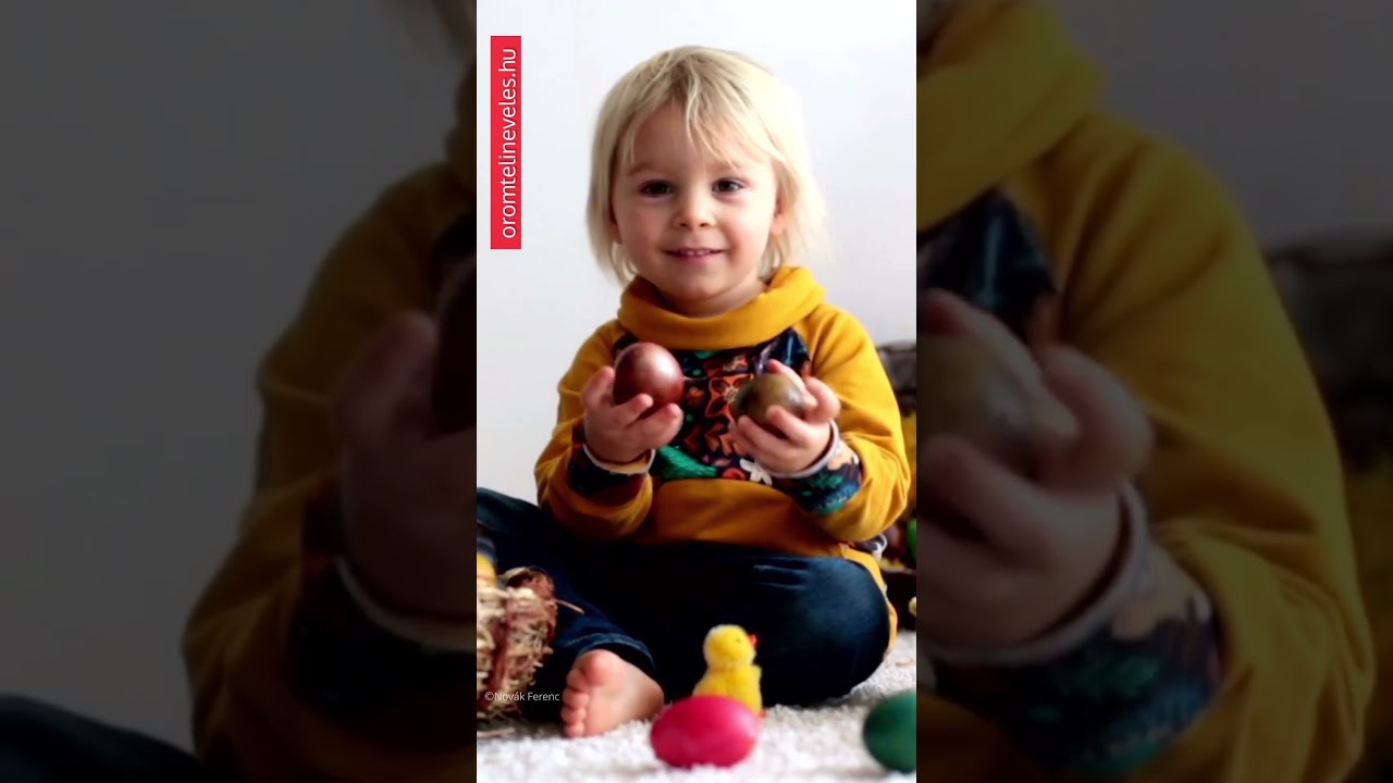 A nagyobbik testv&eacute;r