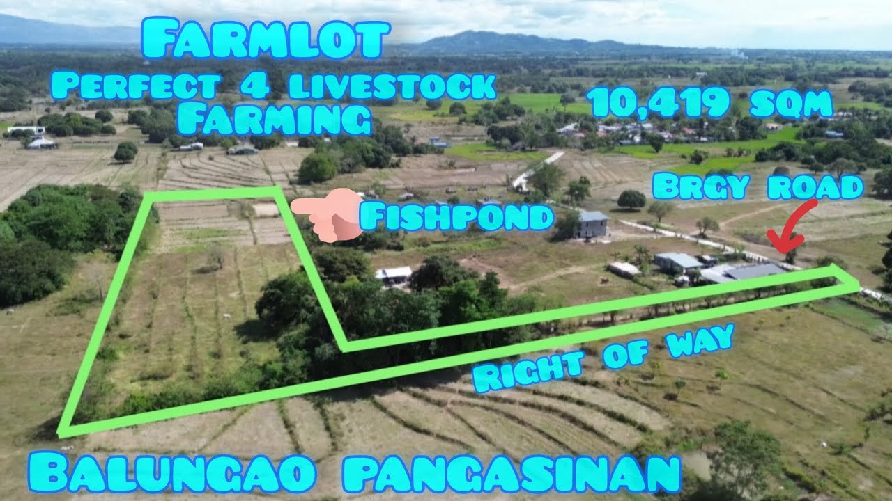 Lot#743 Farmlot w/ fishpond, good 4 livestock, w/right of way, pwede farmhouse, Balungao pang.