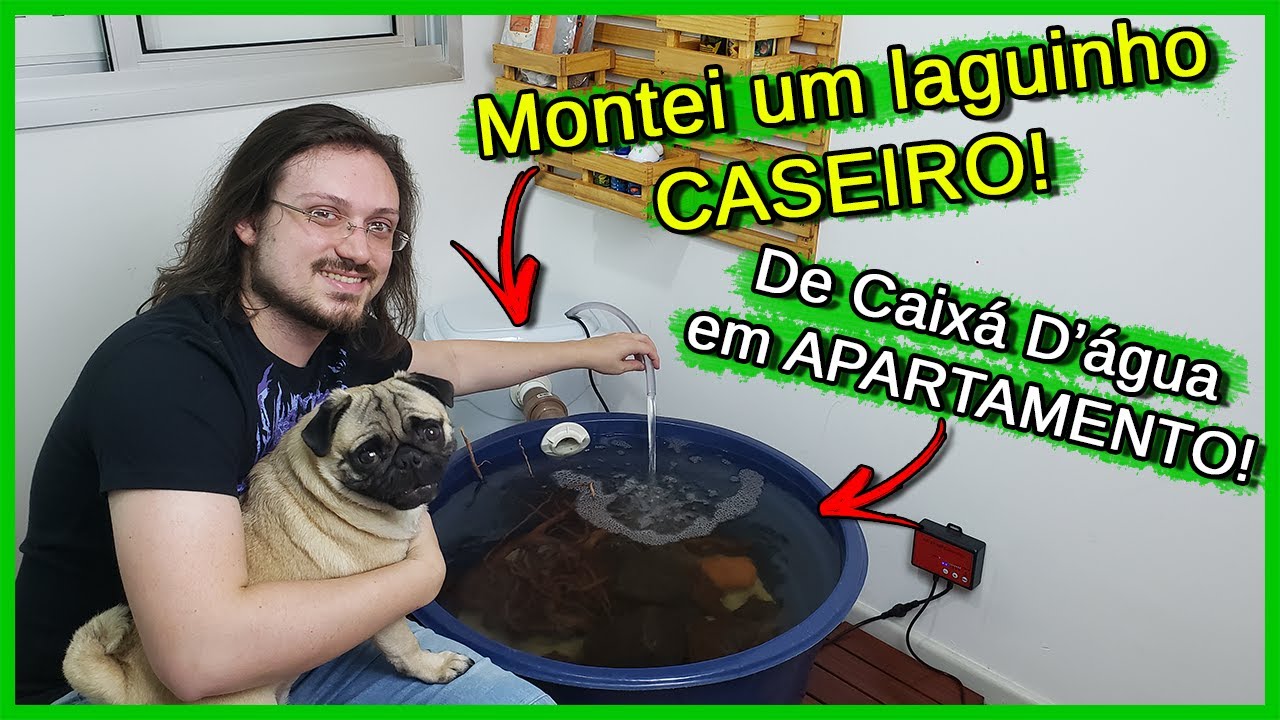 Montei um Laguinho Caseiro de Caixa D'água em APARTAMENTO!