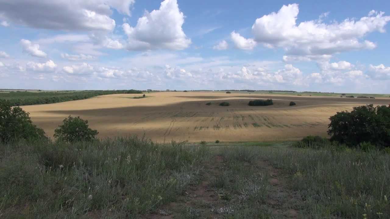 Ах ты, степь широкая     исп. хор имени Александрова