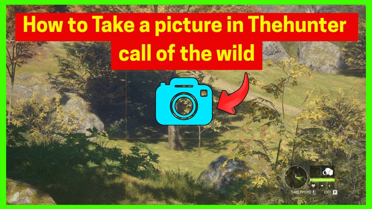 How to take a picture in the hunter call of the wild (Full Guide)