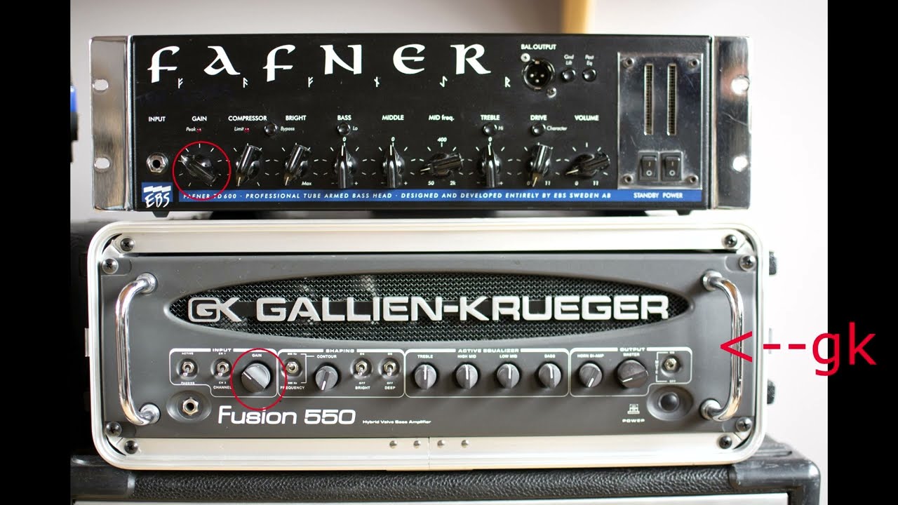Gallien-Krueger Fusion 550 vs. EBS Fafner I