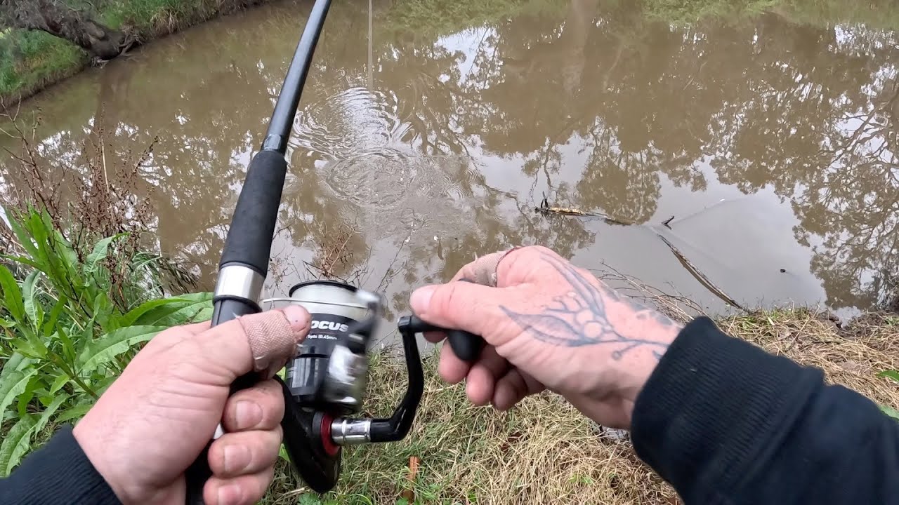 УИНЧЕЛСИ - Виктория, Австралия 🇦🇺🎣 🐟