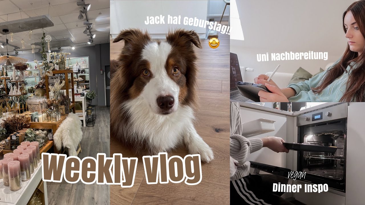 VLOG: Jack's Geburtstag 🐶, ALLTAG ALS STUDENTIN & Kölle Zoo Ausflug