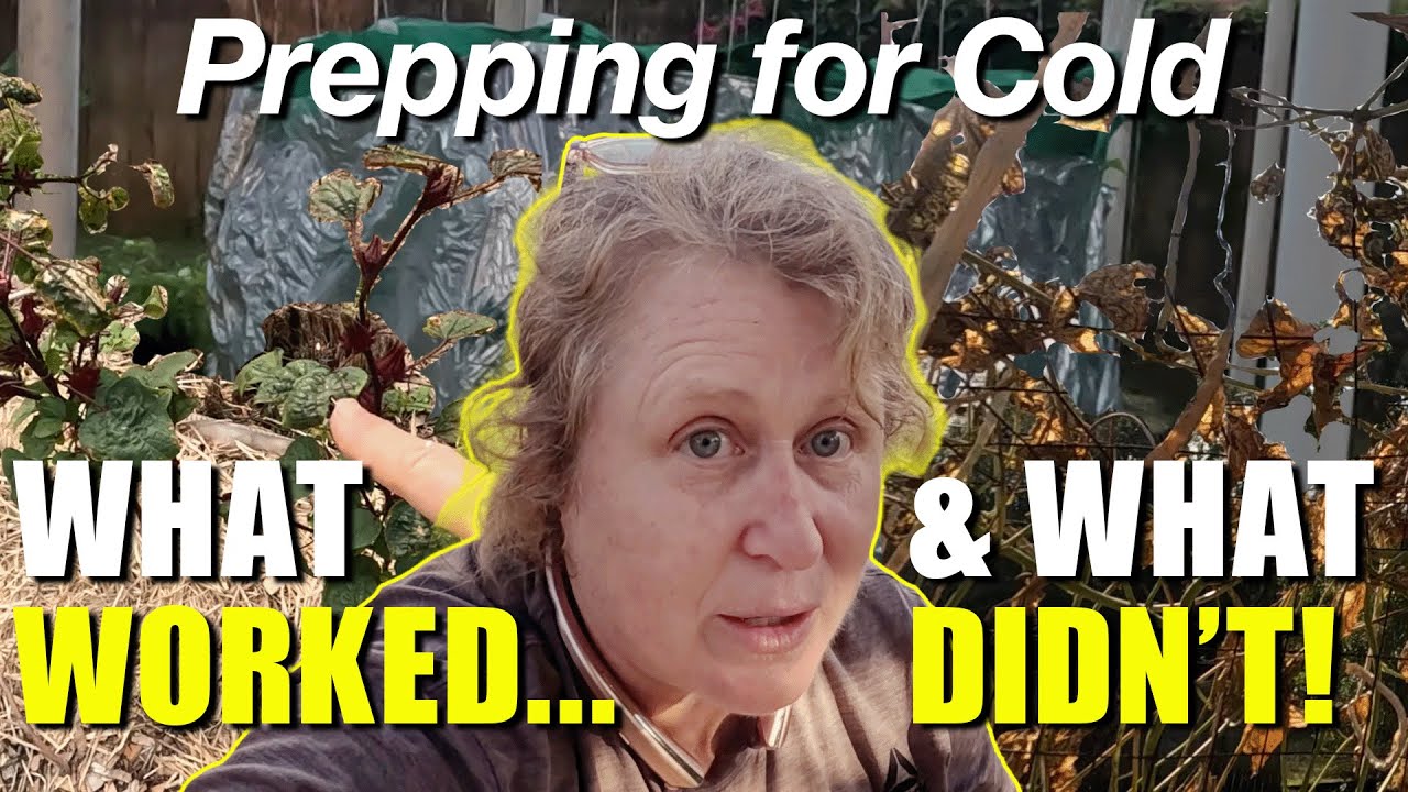 Prepping for Cold - What Worked & What Didn't