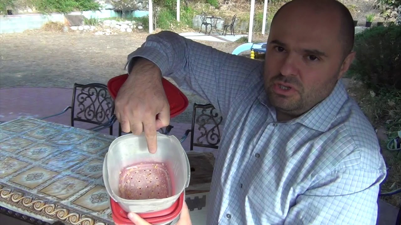 04/03/2019    NATURAL BEEKEEPING - THE ARMENIAN HIVE