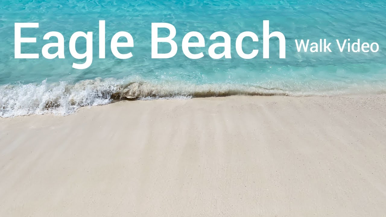 Eagle Beach 🏖 Fofoti Tree area and low rise hotels walk