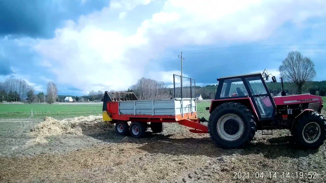 Obornik 2021-2x ursus & igamet 6t oględziny owsa po dzikach. Dzień jak co dzień🚜🚜🚜