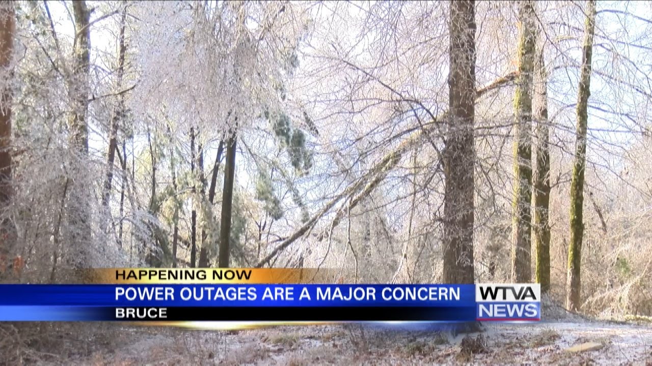 Ice storm leaves Bruce without power