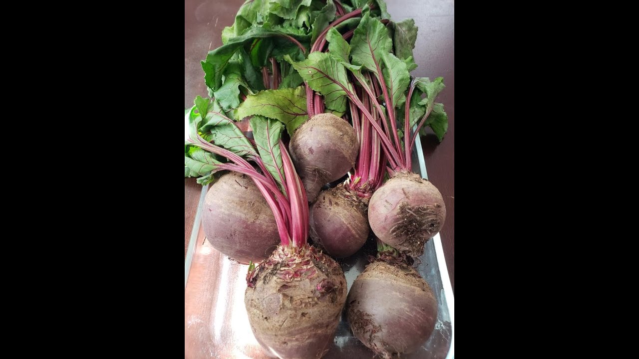 Beet Salad