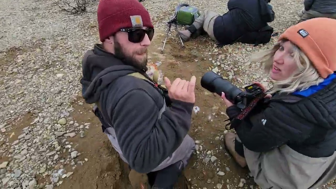 Guiding Grizzly Bear Safaris in Alaska's Katmai