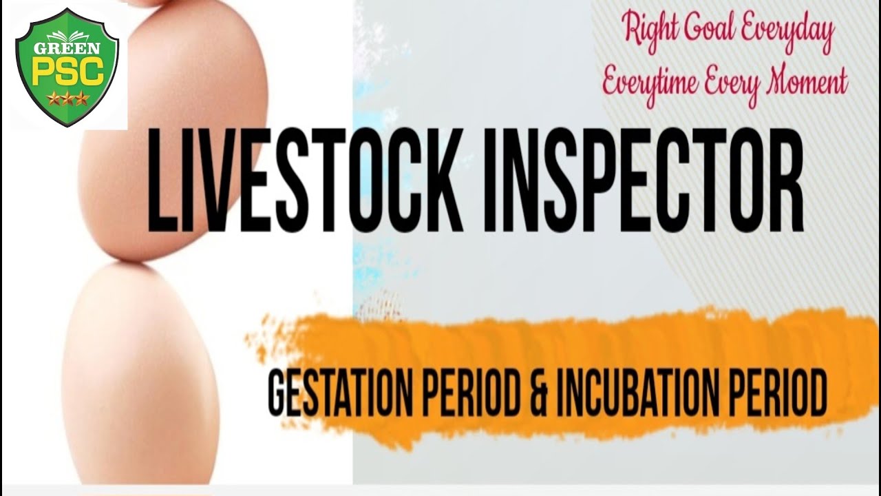 Livestock Inspector Gr II l Gestation period & incubation period l Kerala Psc l GreenPSC