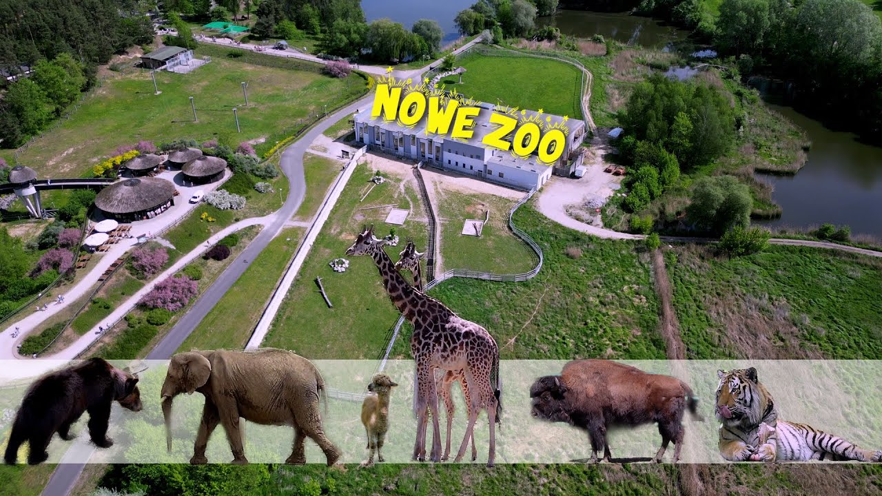 Nowe ZOO w Poznaniu