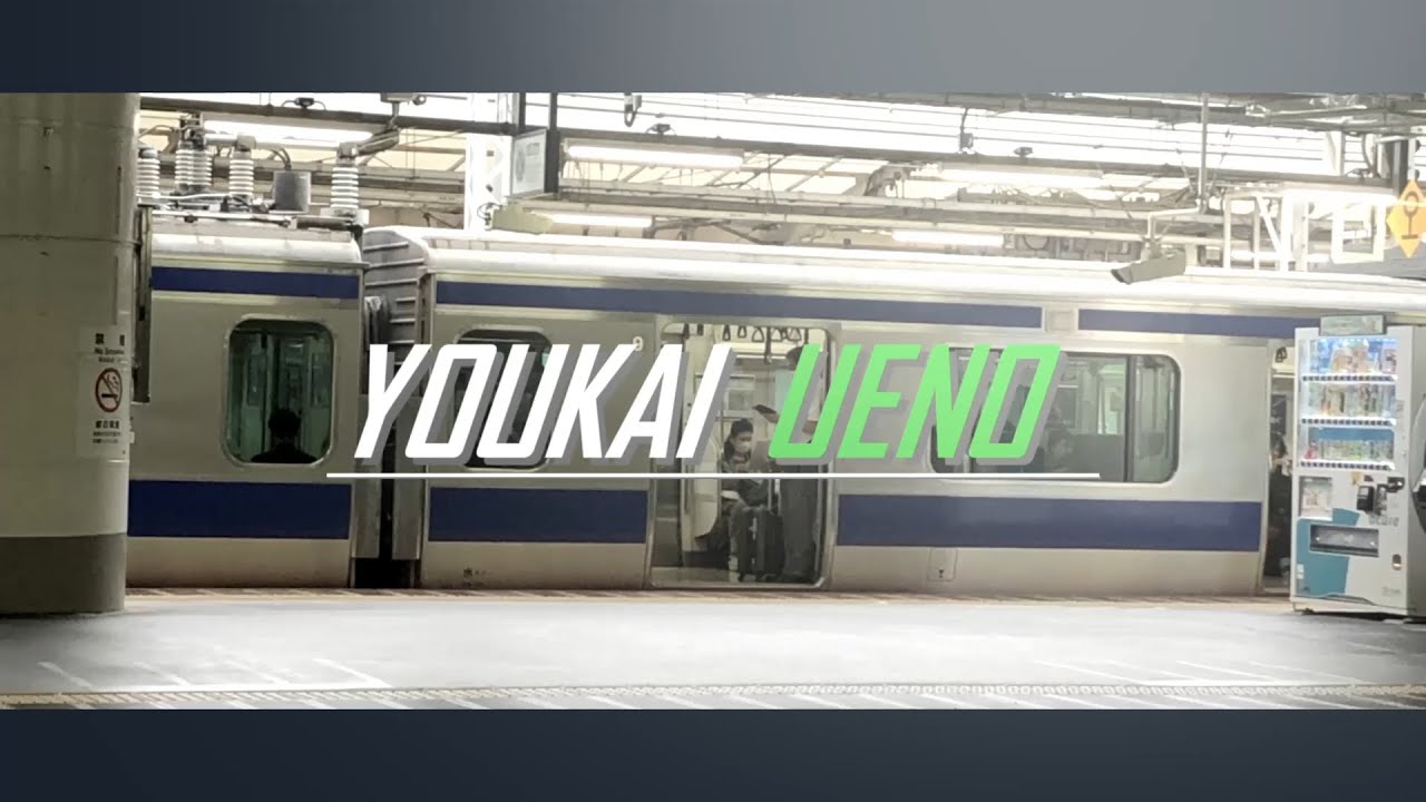 【合作】YOUKAI UENO[HAnaten]