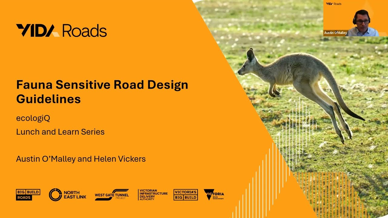 ecologiQ Lunch & Learn - Fauna Sensitive Road Design Guidelines in Practice