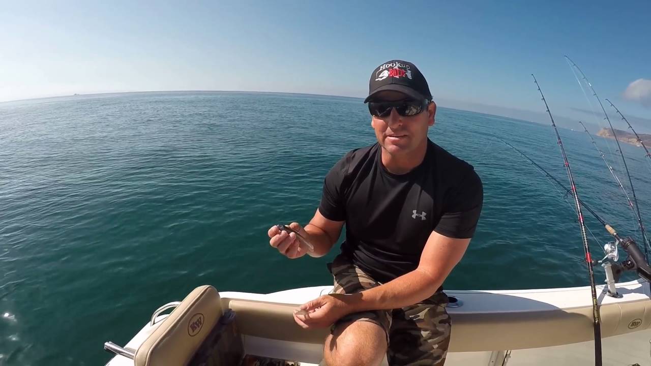 hookup bait selection