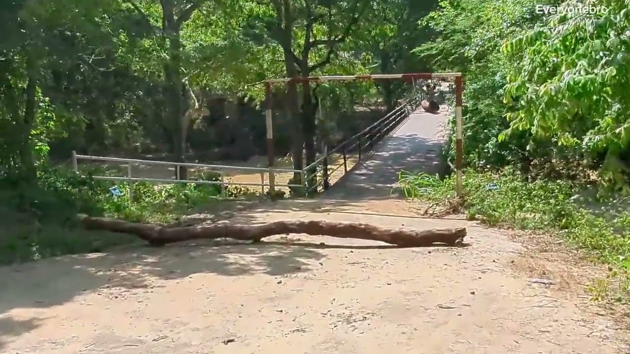 ගං වතුරින් සිදු  වු විනාසය | කතරගම පුජා භුමිය අවට සත්‍ය 😱  @Everyonebro