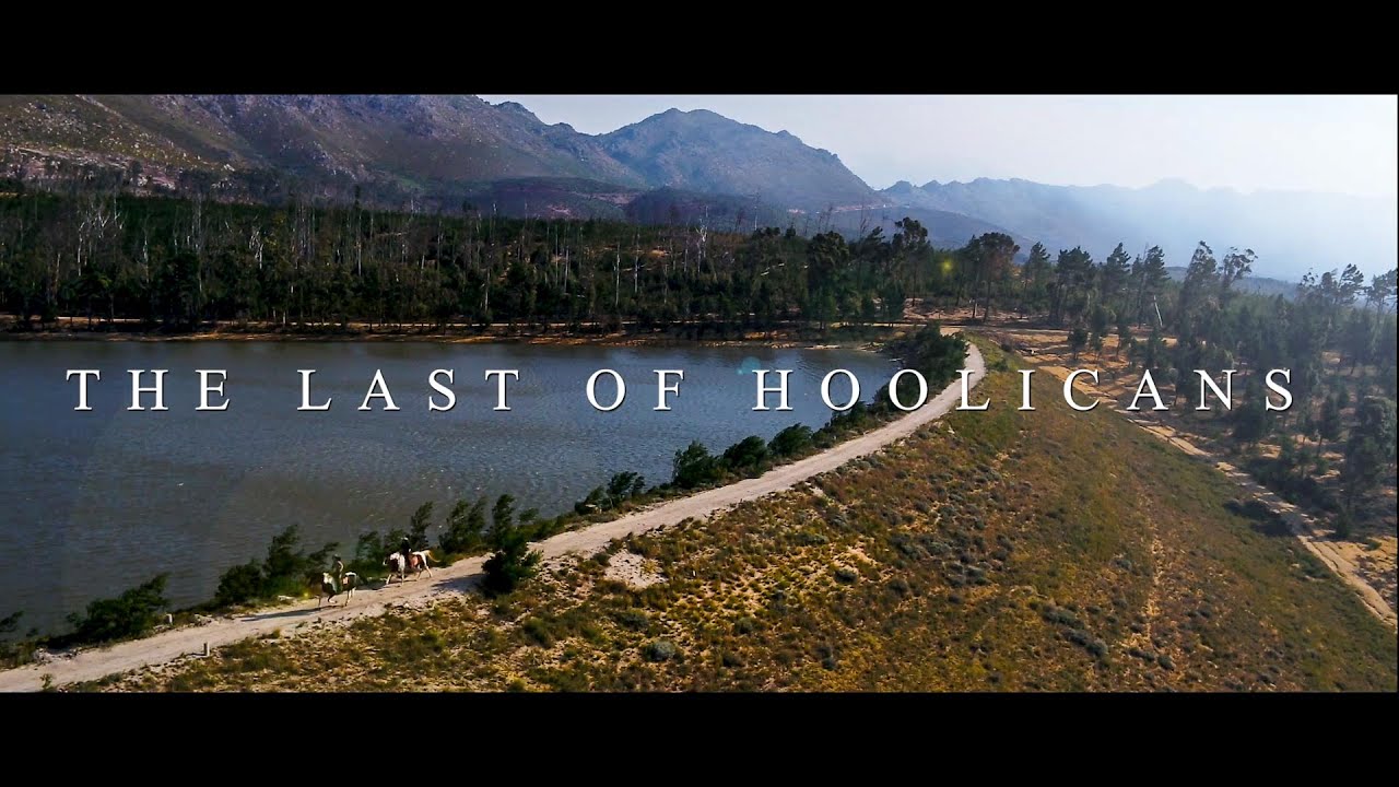 THE LAST OF HOOLICANS